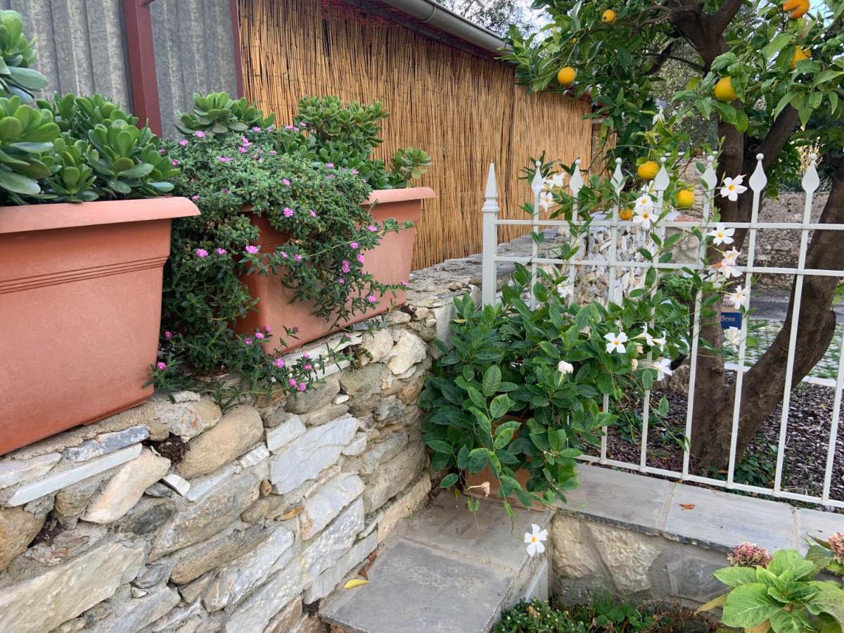Antica Casa Nel Borgo Apartment Pietrasanta Exterior photo